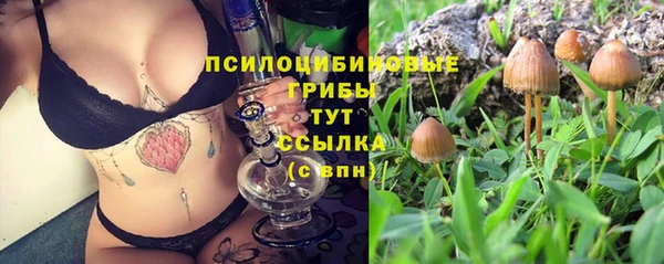 спиды Липки