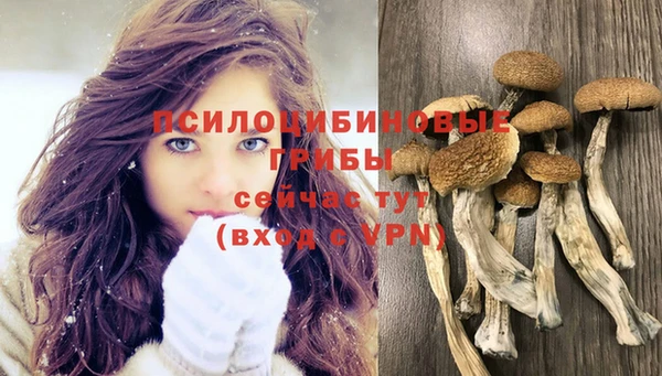 спиды Липки