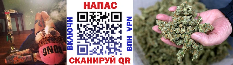 Купить закладки  Чегем  Каннабис ГИДРОПОН 
